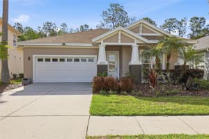 8123 CAMELLA LANE, TAMPA, FL 33647 - MLS#MFRTB8492589