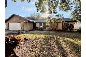 15116 TRAIL CREEK PLACE, TAMPA, FL 33625 - MLS#MFRTB8492603