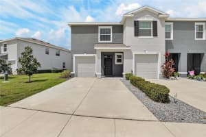 6946 BREEZY PALM DRIVE, RIVERVIEW, FL 33578 - MLS#MFRTB8492607
