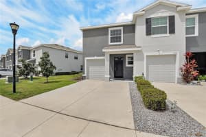6946 BREEZY PALM DRIVE, RIVERVIEW, FL 33578 - MLS#MFRTB8492607