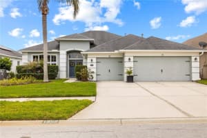 1352 BIG CREEK DRIVE, WESLEY CHAPEL, FL 33544 - MLS#MFRTB8492629
