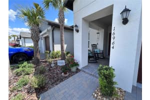 16964 FORGE SURF STREET, LAND O LAKES, FL 34638 - MLS#MFRTB8492653
