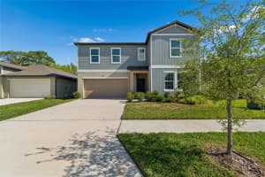 10065 GENTLE RAIN DRIVE, LAND O LAKES, FL 34638 - MLS#MFRTB8492658