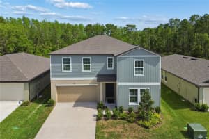 10065 GENTLE RAIN DRIVE, LAND O LAKES, FL 34638 - MLS#MFRTB8492658