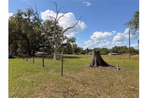 20512 RAMER ROAD, DADE CITY, FL 33523 - MLS#MFRTB8492667