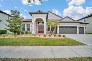 32697 Natural Bridge Rd, WESLEY CHAPEL