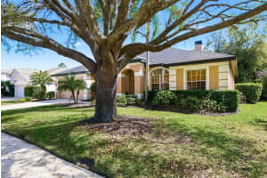5035 KERNWOOD COURT, PALM HARBOR, FL 34685 - MLS#MFRTB8492717