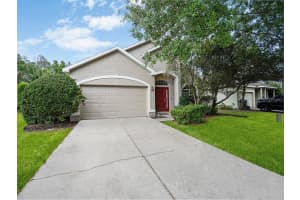 11713 Colony Lakes Blvd, NEW PORT RICHEY
