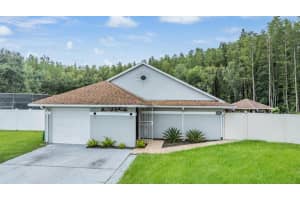 5923 Bitterwood Ct, TAMPA