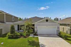 20121 AZUL MARBLE LOOP, LAND O LAKES, FL 34638 - MLS#MFRTB8492775