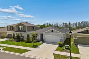 20121 AZUL MARBLE LOOP, LAND O LAKES, FL 34638 - MLS#MFRTB8492775