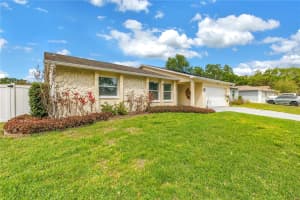 143 CHERRY LAUREL DRIVE, PALM HARBOR, FL 34683 - MLS#MFRTB8492795