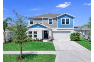 12738 MANGROVE FOREST DRIVE, RIVERVIEW, FL 33579 - MLS#MFRTB8492809