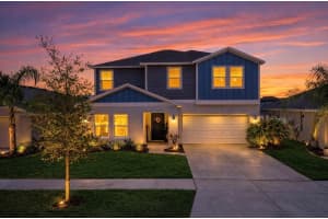 12738 MANGROVE FOREST DRIVE, RIVERVIEW, FL 33579 - MLS#MFRTB8492809