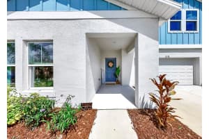 12738 MANGROVE FOREST DRIVE, RIVERVIEW, FL 33579 - MLS#MFRTB8492809