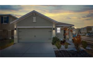 3503 Diamond Leaf Ct, VALRICO