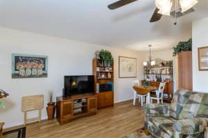 2444 ENTERPRISE ROAD, CLEARWATER, FL 33763 - MLS#MFRTB8492825
