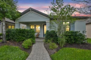 3005 PULLER TRAIL, ODESSA, FL 33556 - MLS#MFRTB8492830