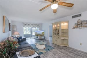 207 CYPRESS LANE, OLDSMAR, FL 34677 - MLS#MFRTB8492844