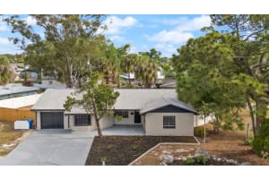 4403 Golfwood Blvd, TAMPA