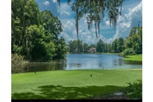 16912 VILLALAGOS DE AVILA, LUTZ, FL 33548 - MLS#MFRTB8492892