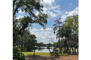 16912 VILLALAGOS DE AVILA, LUTZ, FL 33548 - MLS#MFRTB8492892