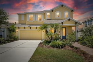 5130 Admiral Pointe Dr, APOLLO BEACH