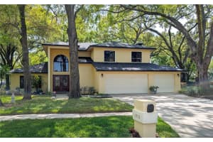 1711 Magdalene Manor Dr, TAMPA