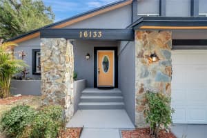 16133 RAVENDALE DRIVE, TAMPA, FL 33618 - MLS#MFRTB8492904