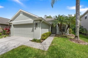 10245 Woodford Bridge St, TAMPA