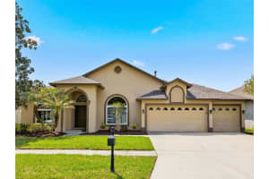 10017 OXFORD CHAPEL DRIVE, TAMPA, FL 33647 - MLS#MFRTB8492947