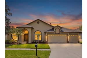 10017 OXFORD CHAPEL DRIVE, TAMPA, FL 33647 - MLS#MFRTB8492947