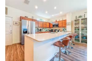 1132 MARTIN LUTHER KING JR AVE, DUNEDIN, FL 34698 - MLS#MFRTB8492953