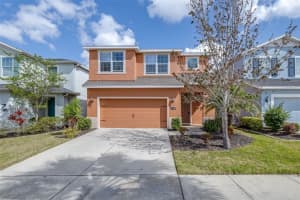 11150 ABACO ISLAND AVENUE, RIVERVIEW, FL 33579 - MLS#MFRTB8492960
