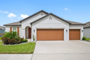11810 TETRAFIN DRIVE, RIVERVIEW, FL 33579 - MLS#MFRTB8492990
