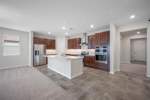 11810 TETRAFIN DRIVE, RIVERVIEW, FL 33579 - MLS#MFRTB8492990