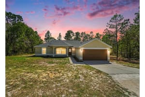 12276 Snow Goose Ave, BROOKSVILLE