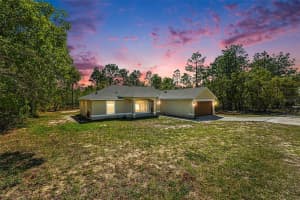 12276 SNOW GOOSE AVENUE, BROOKSVILLE, FL 34614 - MLS#MFRTB8493017
