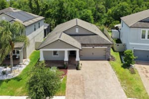 6233 English Hollow Rd, TAMPA