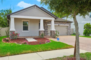 6233 ENGLISH HOLLOW ROAD, TAMPA, FL 33647 - MLS#MFRTB8493078