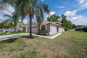 25841 CRIPPEN DRIVE, LAND O LAKES, FL 34639 - MLS#MFRTB8493086