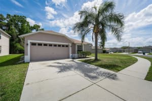 25841 CRIPPEN DRIVE, LAND O LAKES, FL 34639 - MLS#MFRTB8493086