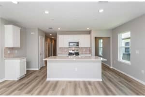 3027 WINDSWEPT WAY, WILDWOOD, FL 34785 - MLS#MFRTB8493094