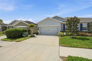 10335 HERON HIDEAWAY LOOP, LAND O LAKES, FL 34638 - MLS#MFRTB8493140