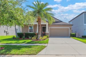 13932 PAINTED BUNTING LN, RIVERVIEW, FL 33579 - MLS#MFRTB8493155