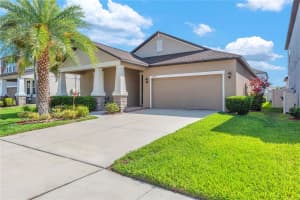 13932 PAINTED BUNTING LN, RIVERVIEW, FL 33579 - MLS#MFRTB8493155