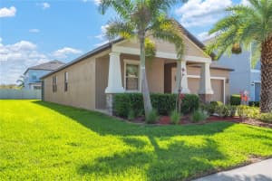 13932 PAINTED BUNTING LN, RIVERVIEW, FL 33579 - MLS#MFRTB8493155
