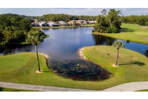 20941 TANGOR ROAD, LAND O LAKES, FL 34637 - MLS#MFRTB8493192