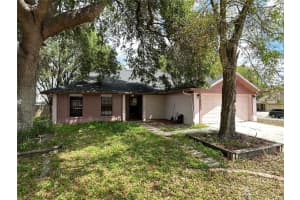 1402 Shell Flower Dr, BRANDON