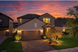 13256 Wildflower Meadow Dr, RIVERVIEW